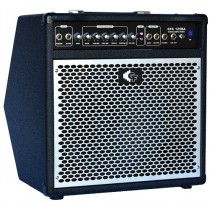 Groove Factory Push Back Bass Combo 125